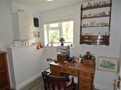 Picture 24